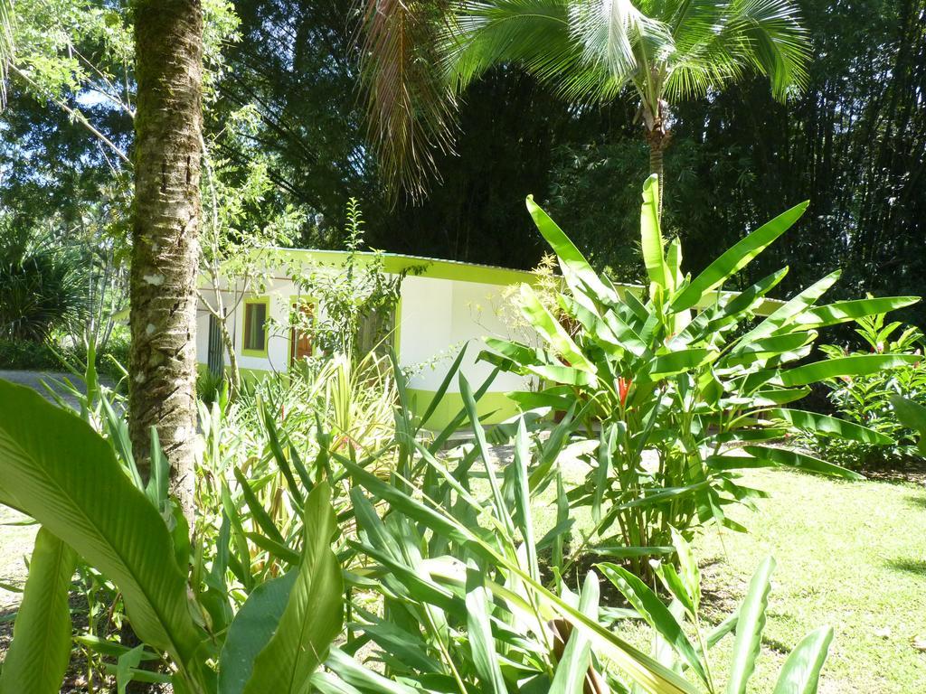 3 Bamboo Eco Lodge Cahuita Extérieur photo