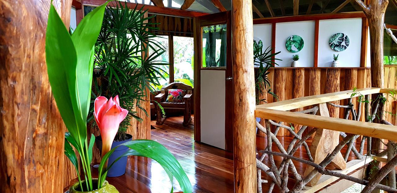 3 Bamboo Eco Lodge Cahuita Extérieur photo